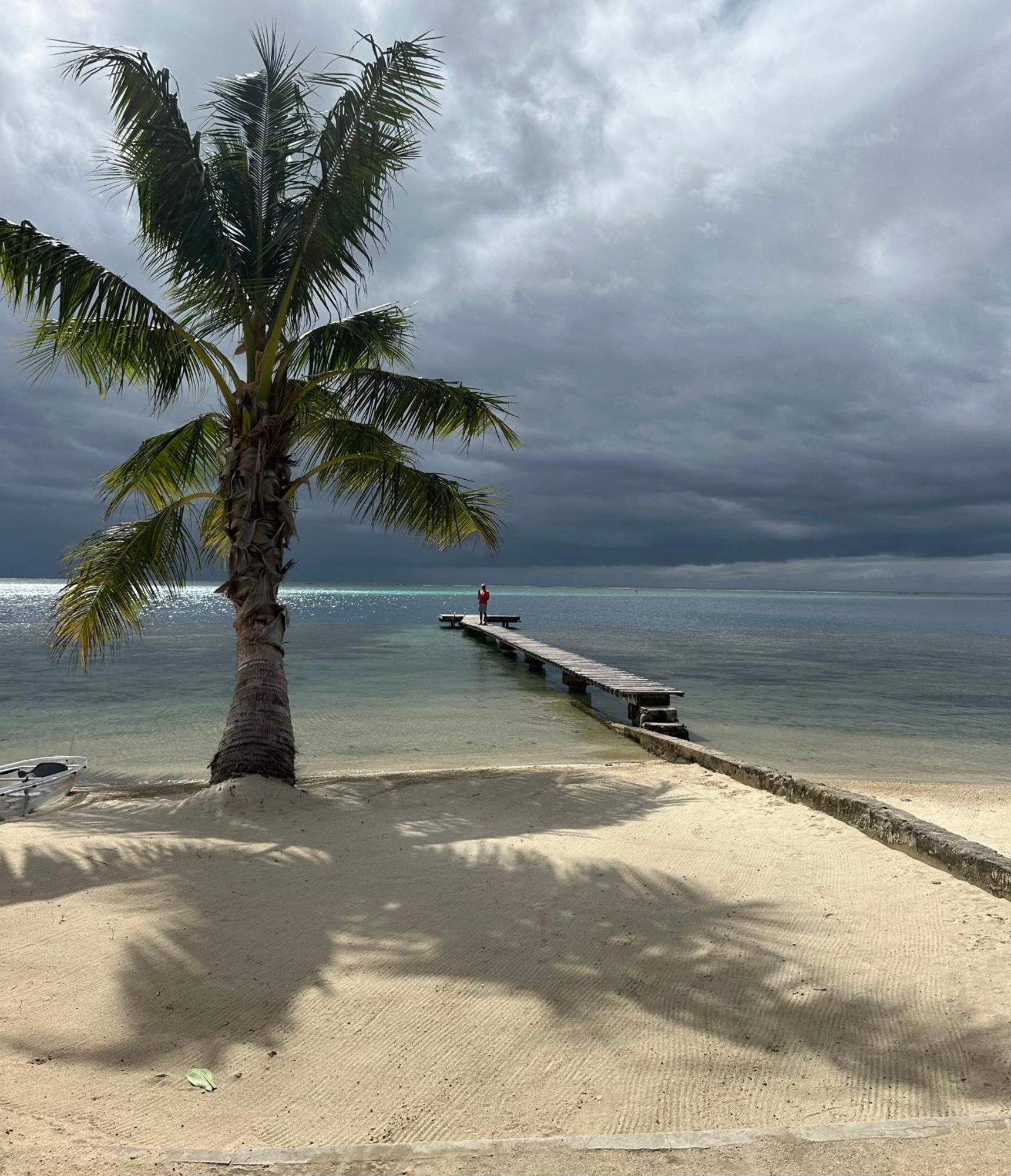 Chez Jay Moorea Beach House Villa Maharepa  Dış mekan fotoğraf